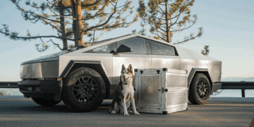 Tesla Insurance: Das Modell, das Versicherungen auf den Kopf stellt – aber in Deutschland scheitern würde